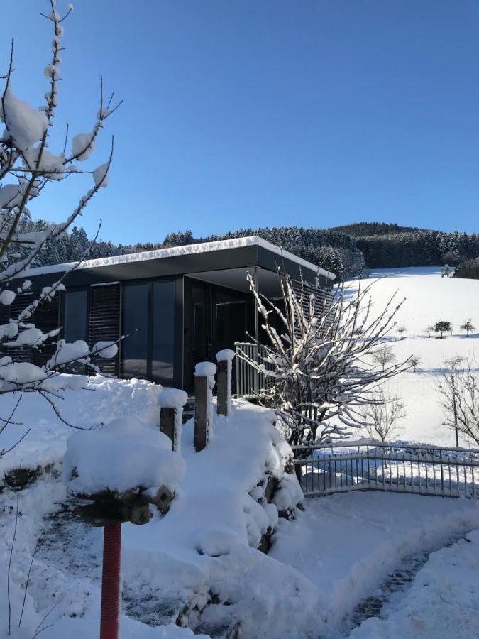 S-Suite Das Design-Ferienhaus Im Schwarzwald Biberach  외부 사진